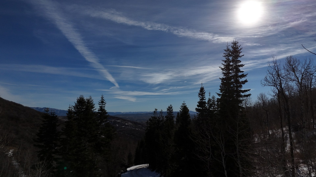 10215 N BASIN CANYON RD Park City, UT 84098