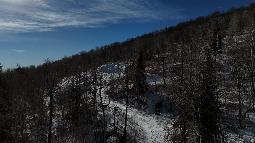 10215 N BASIN CANYON RD Park City, UT 84098