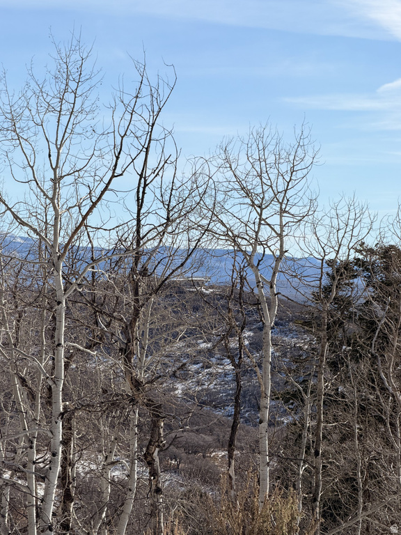 10215 N BASIN CANYON RD Park City, UT 84098