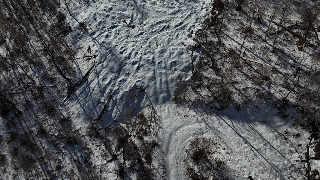 10215 N BASIN CANYON RD Park City, UT 84098