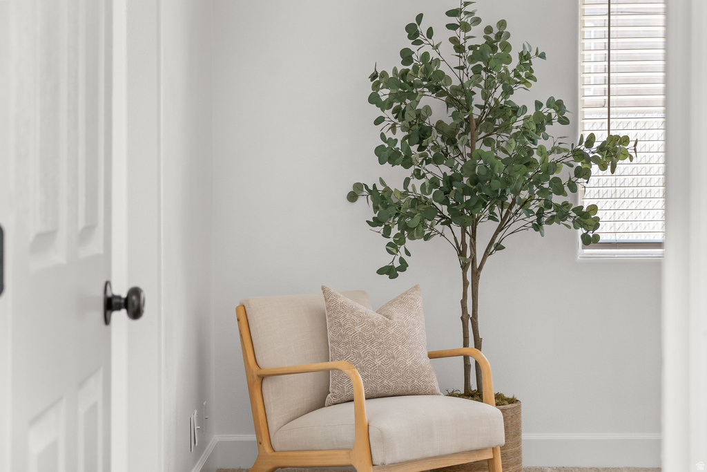 485 N 800 E Washington, UT 84780