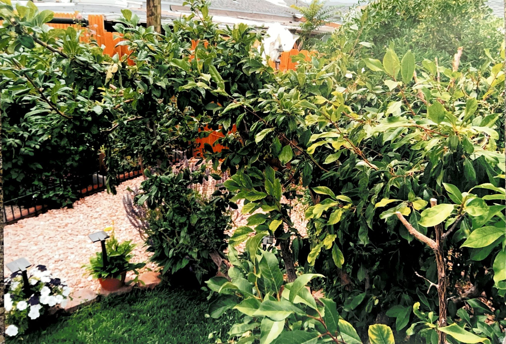 645 E 700 N Price, UT 84501