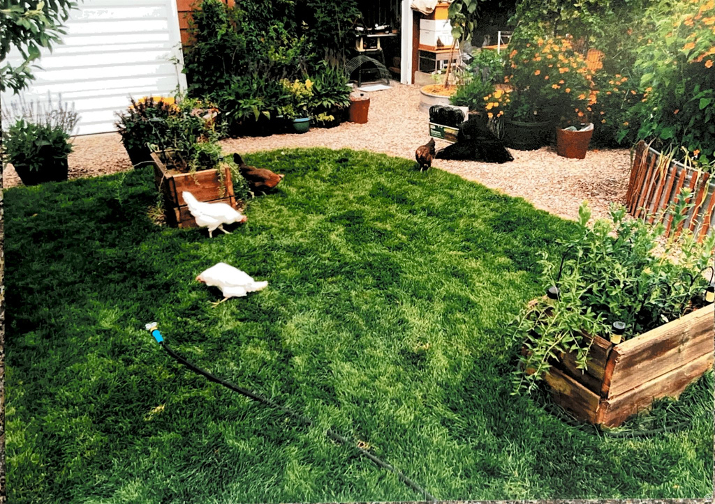 645 E 700 N Price, UT 84501