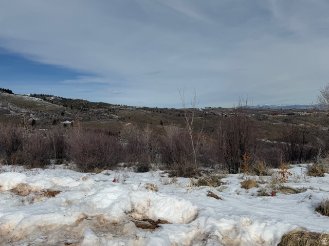 120  NEZ PERCE CIR Fish Haven, ID 83287