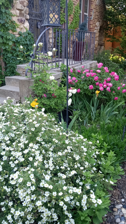 2707 S POLK AVE Ogden, UT 84403