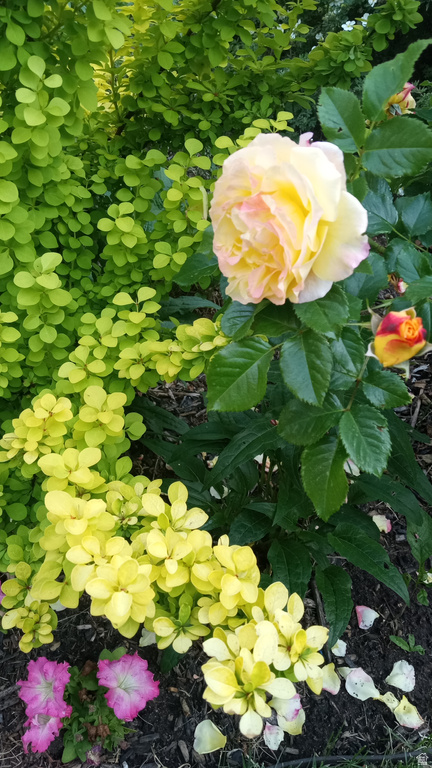 2707 S POLK AVE Ogden, UT 84403