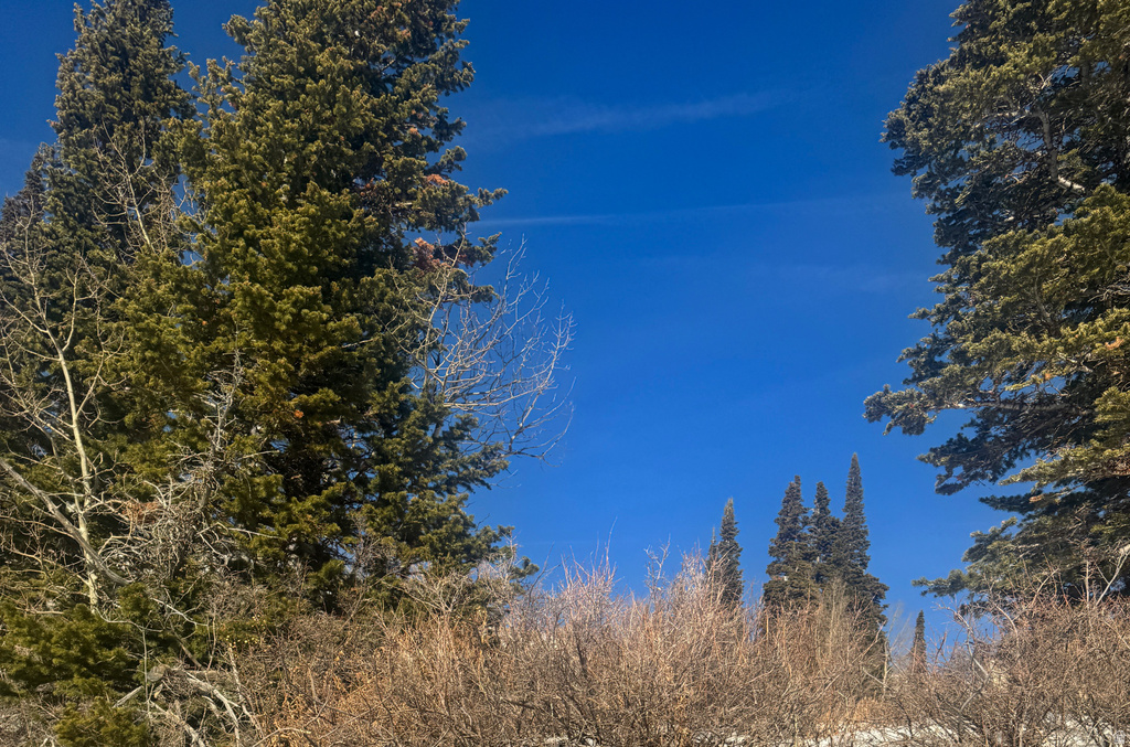 6838 E 6675 N Eden, UT 84310