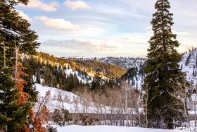 6838 E 6675 N Eden, UT 84310