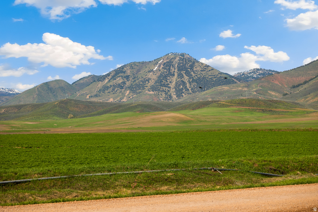 29  JOES GAP ROAD RD Montpelier, ID 83254