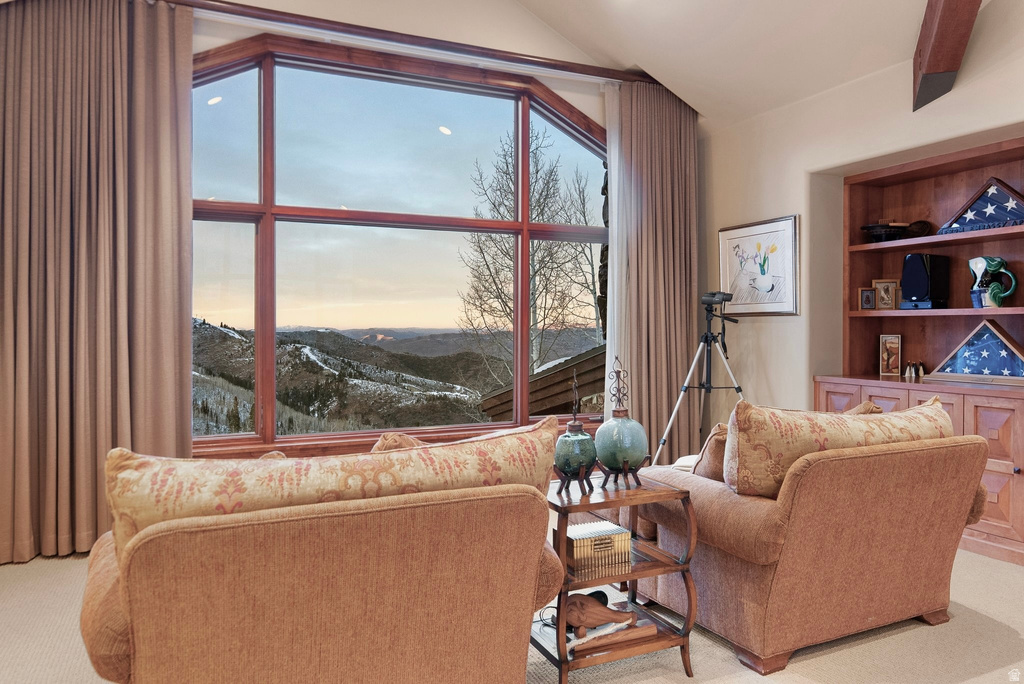 39 WHITE PINE RD Park City, UT 84060
