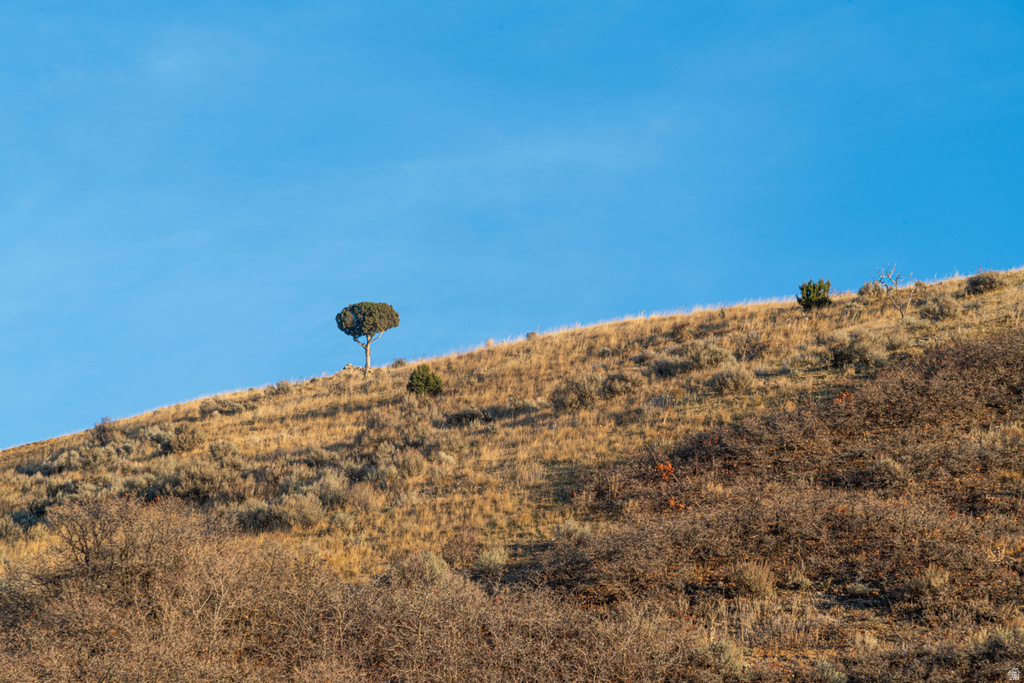 2427 S CANNON POINT DR Salt Lake City, UT 84109