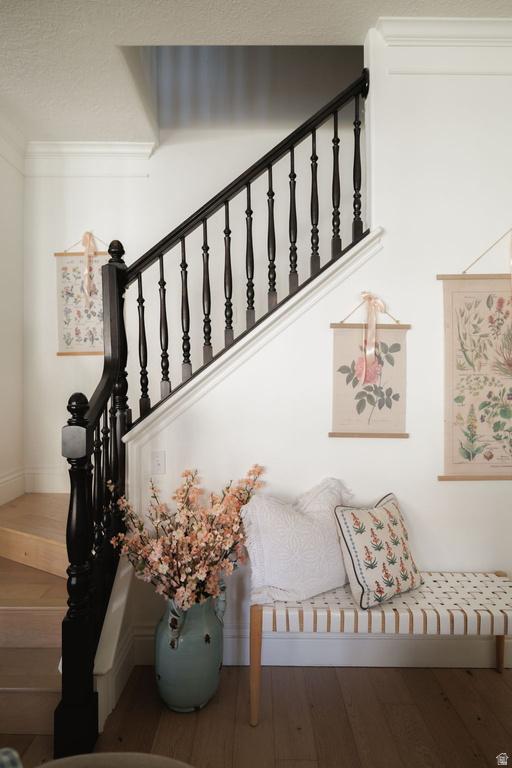 4848 W SAMPSON CT Highland, UT 84003