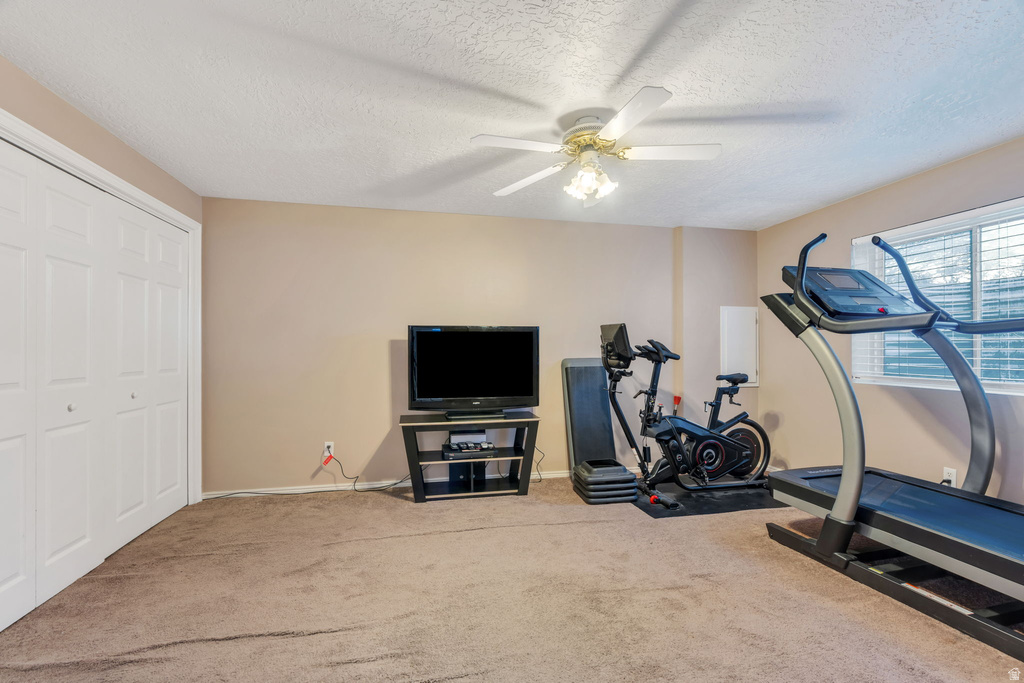 533 W 860 N American Fork, UT 84003