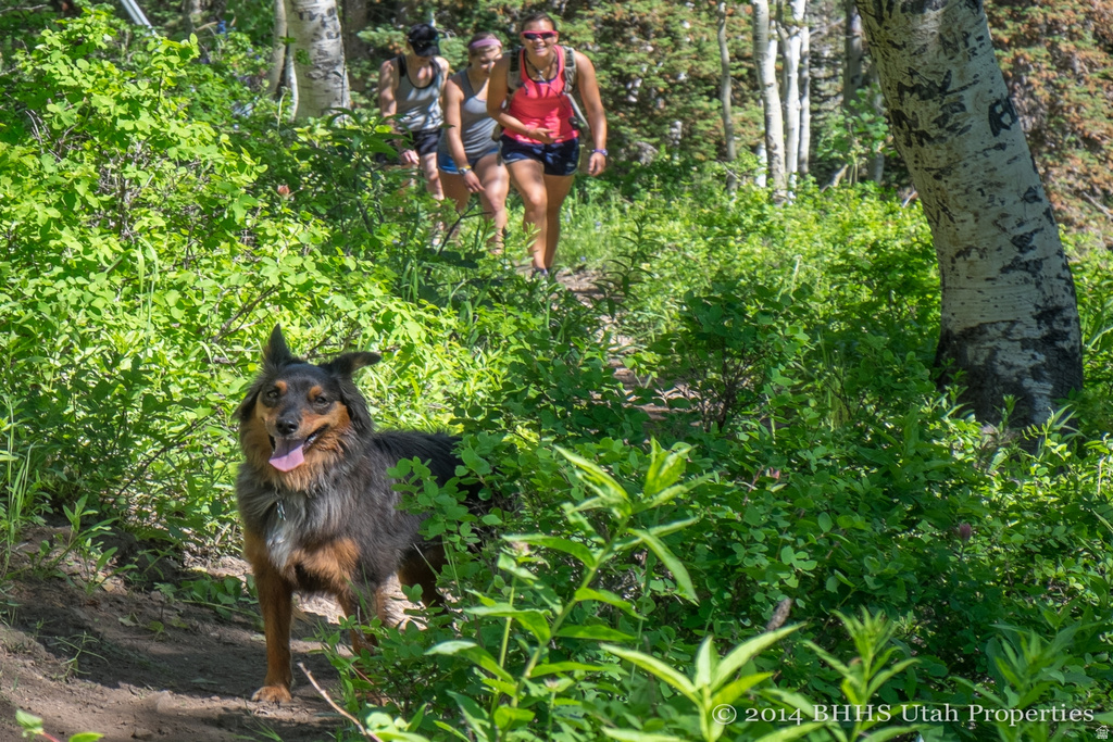 8255 ROYAL ST Park City, UT 84060