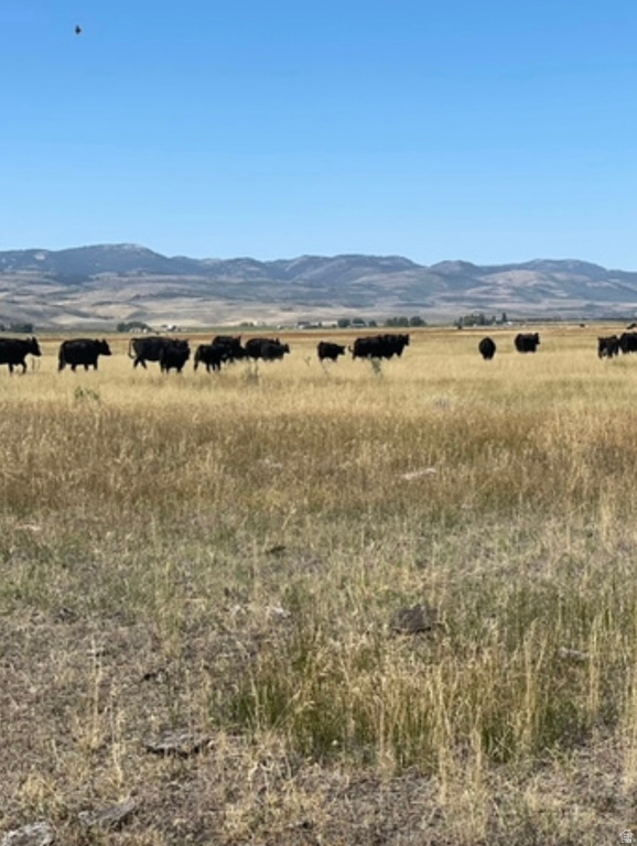 159 N PETERSON LN Paris, ID 83261