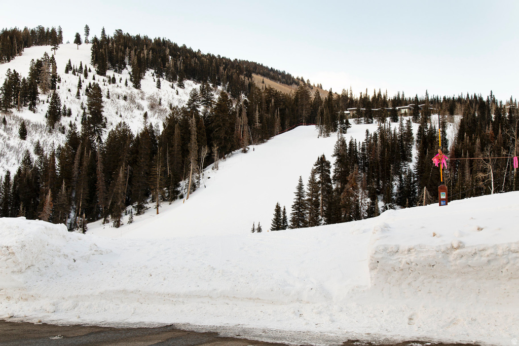 159  WHITE PINE RD Park City, UT 84060