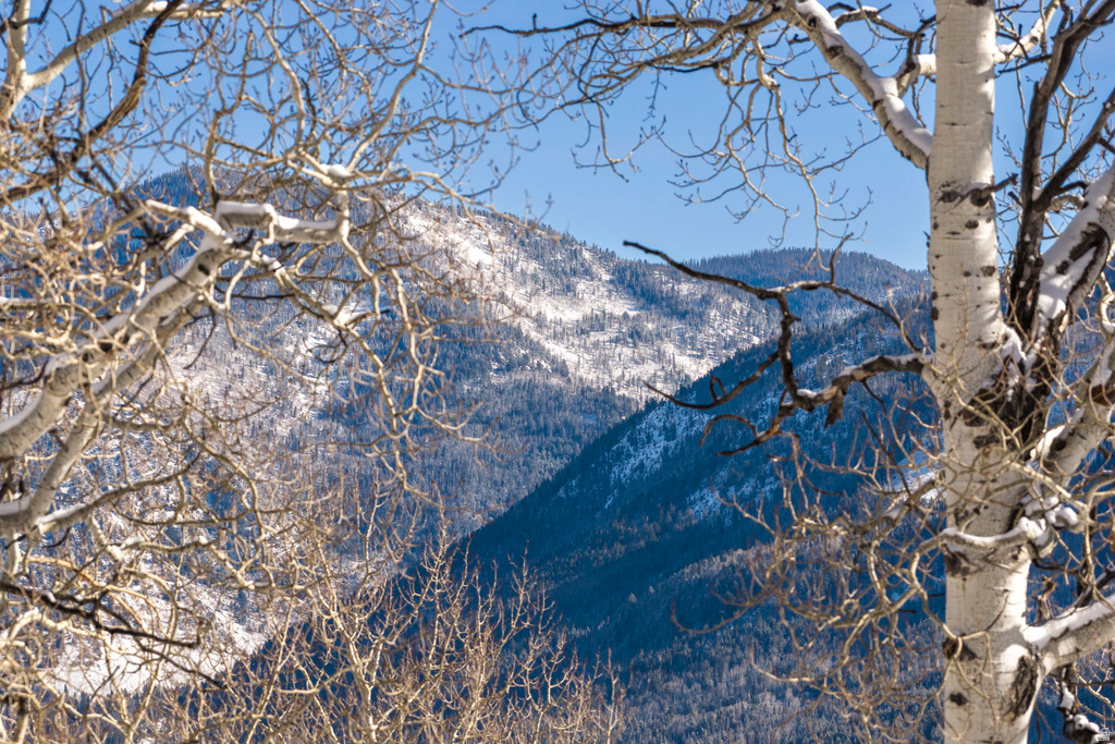 11708  CANYON RIM RD Oakley, UT 84055