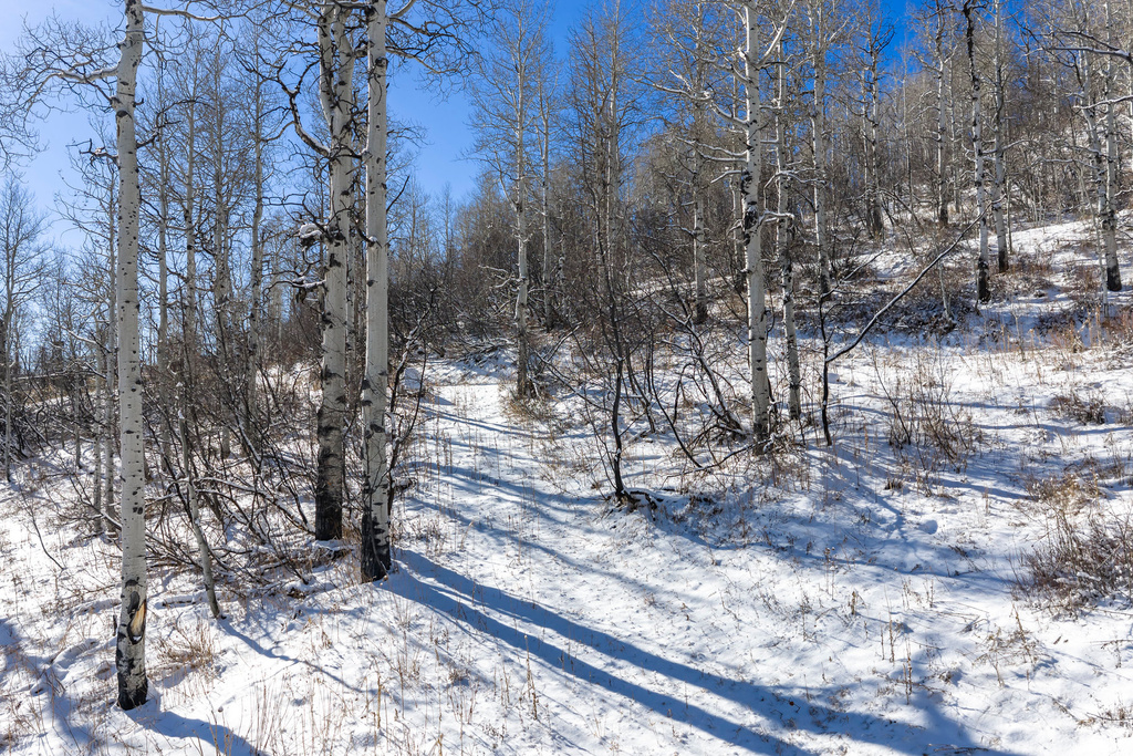 11708  CANYON RIM RD Oakley, UT 84055