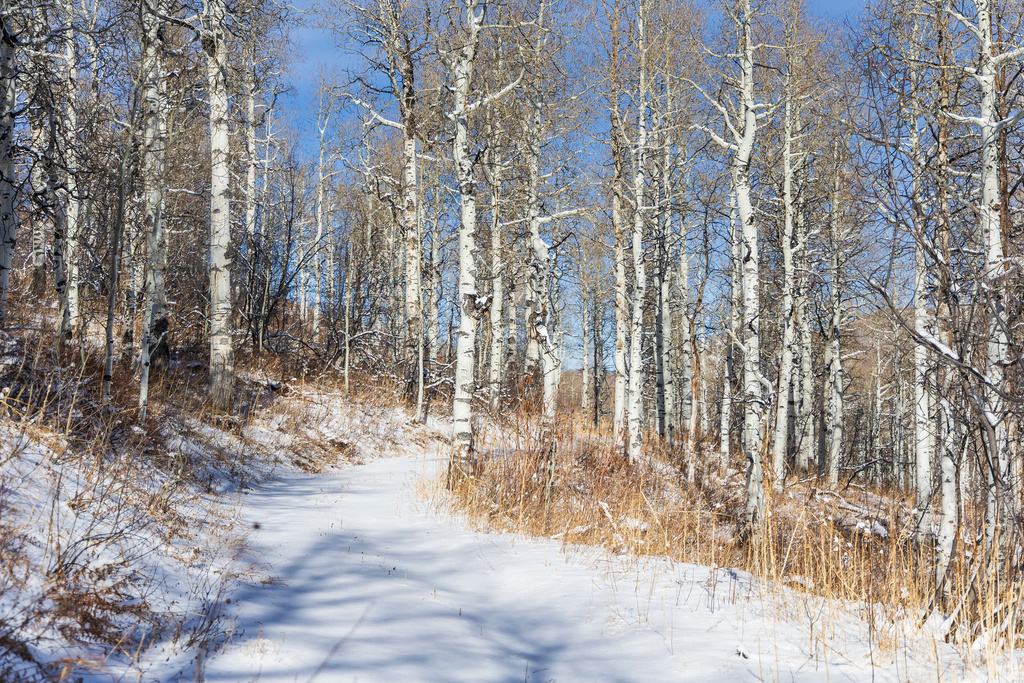 11708  CANYON RIM RD Oakley, UT 84055