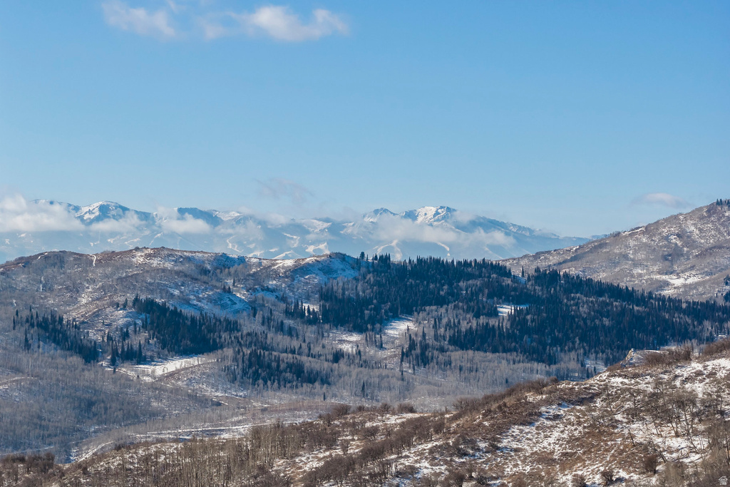 11708  CANYON RIM RD Oakley, UT 84055