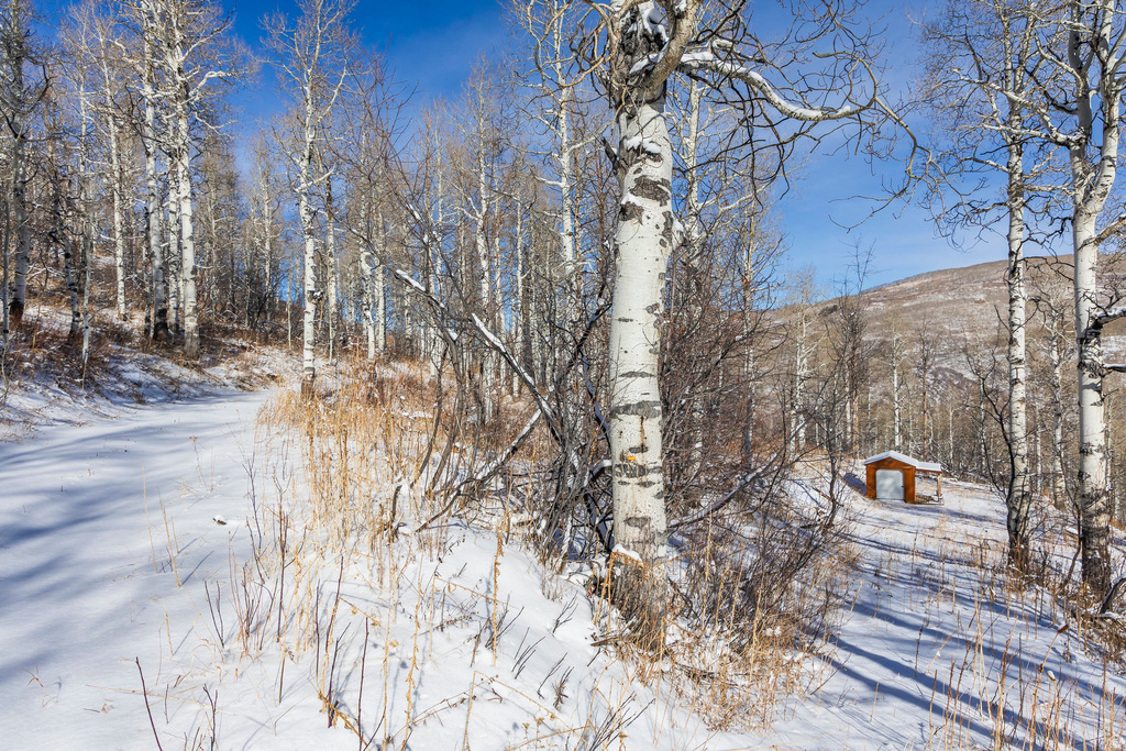 11708  CANYON RIM RD Oakley, UT 84055