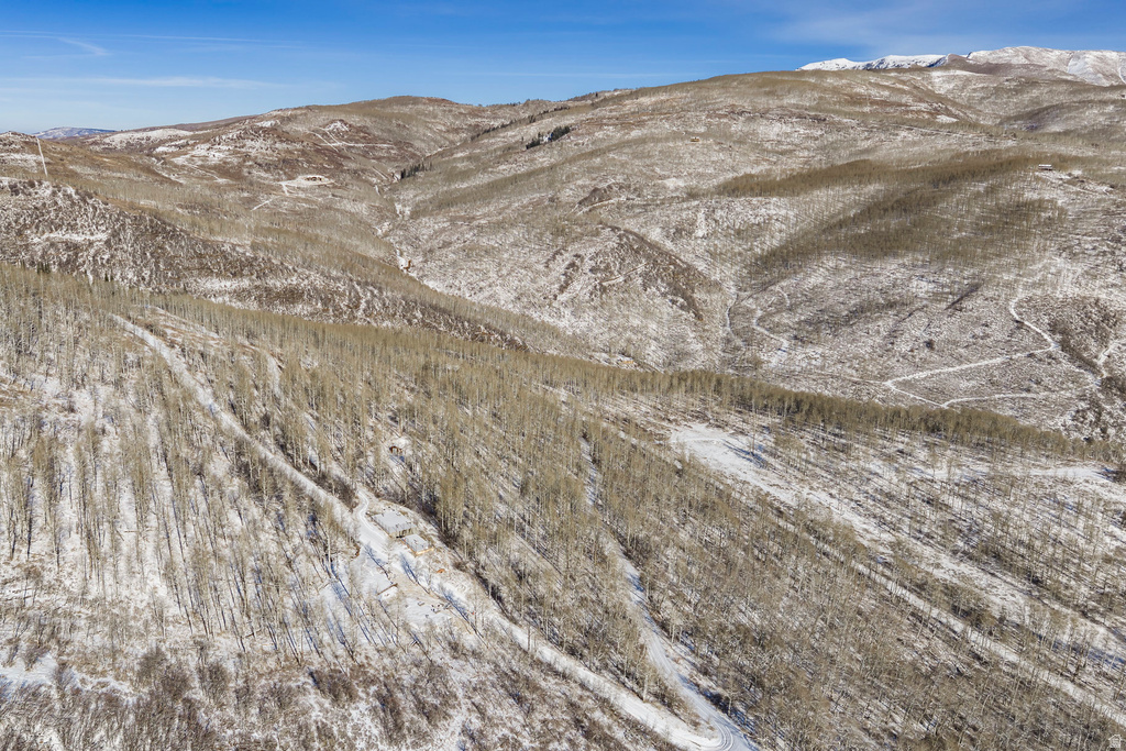 11708  CANYON RIM RD Oakley, UT 84055