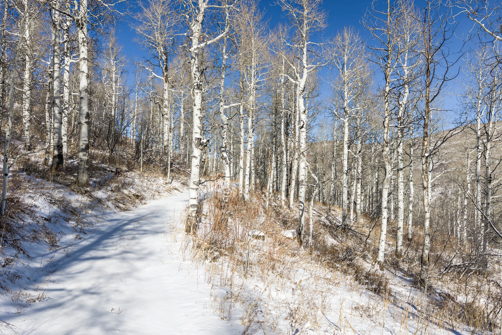 11708  CANYON RIM RD Oakley, UT 84055