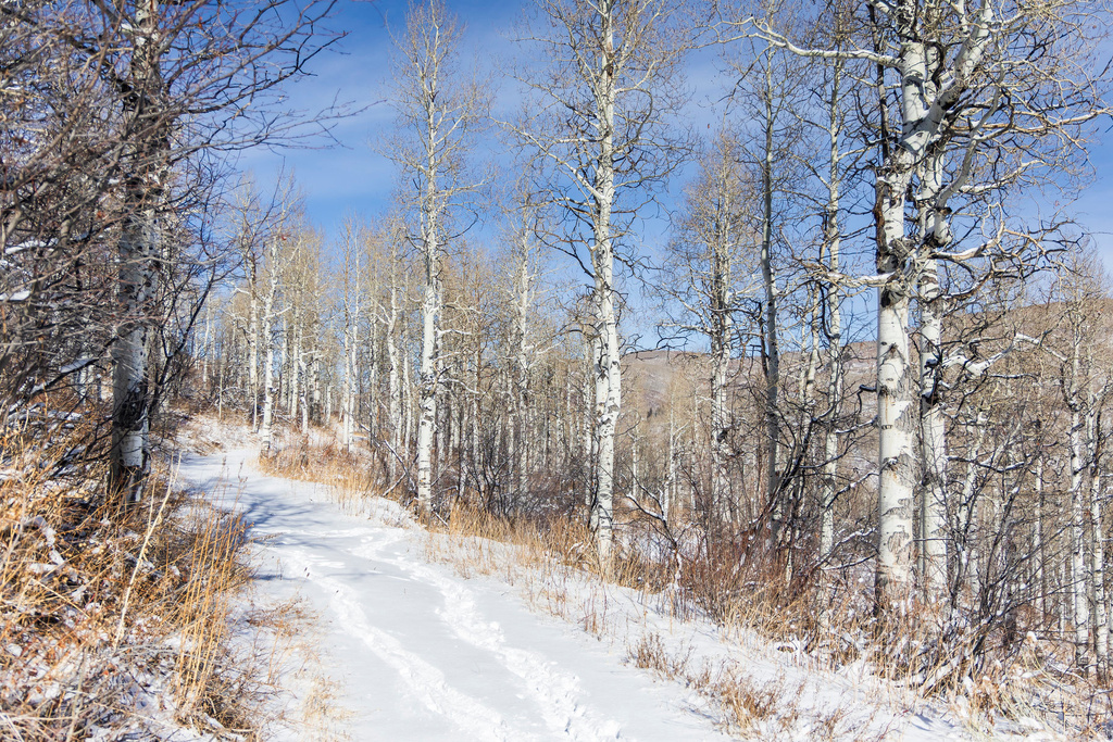 11708  CANYON RIM RD Oakley, UT 84055