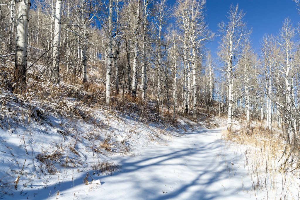 11708  CANYON RIM RD Oakley, UT 84055