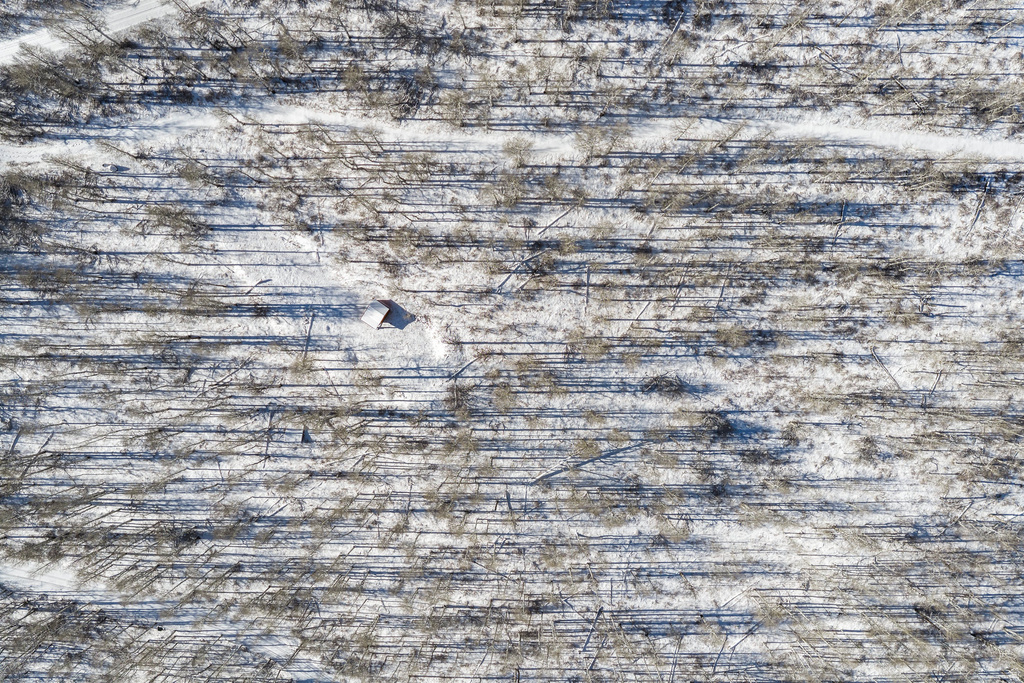 11708  CANYON RIM RD Oakley, UT 84055