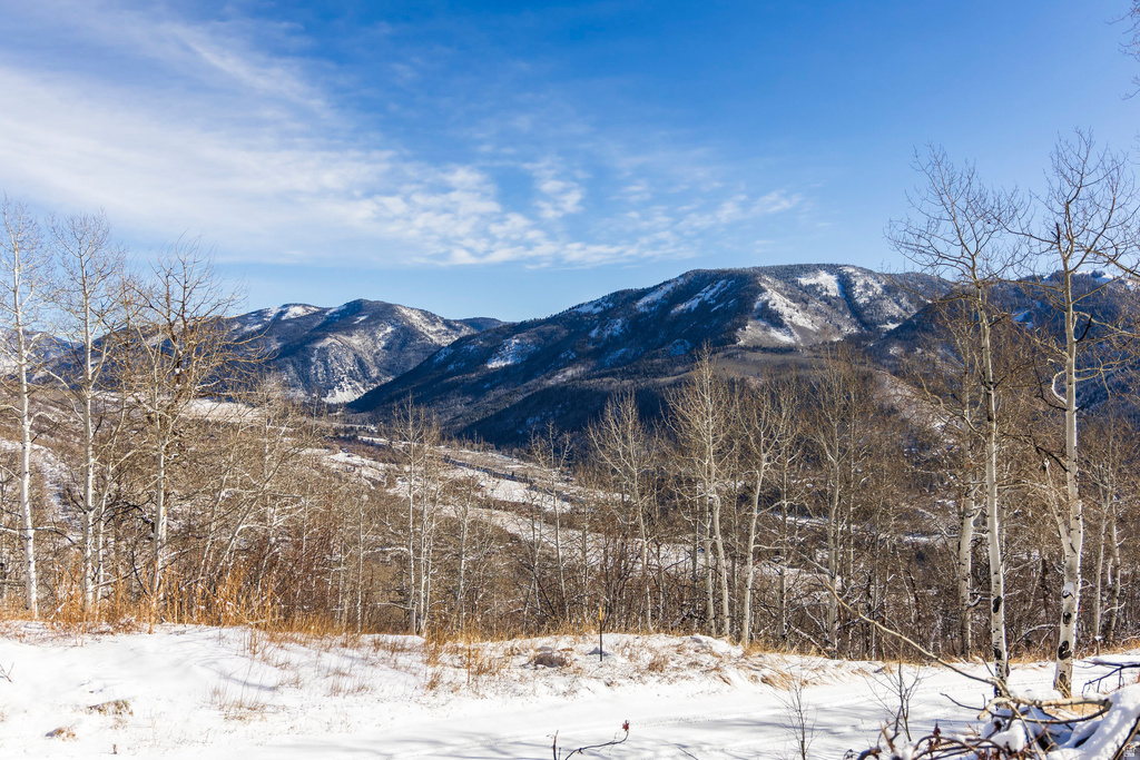 11708  CANYON RIM RD Oakley, UT 84055