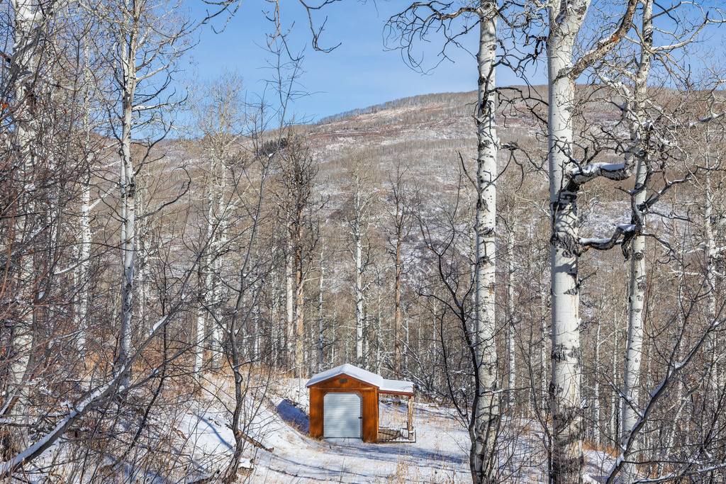 11708  CANYON RIM RD Oakley, UT 84055