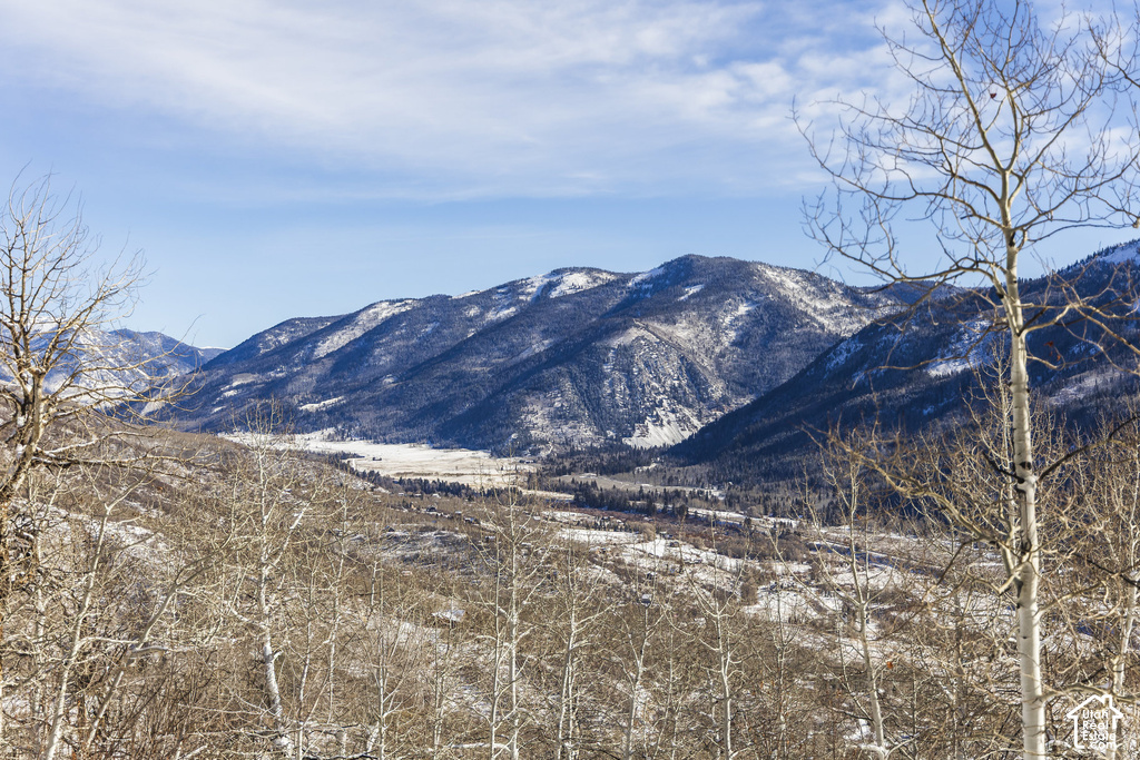 View photos for 11708 Canyon Rim Rd 11708 Canyon Rim Rd