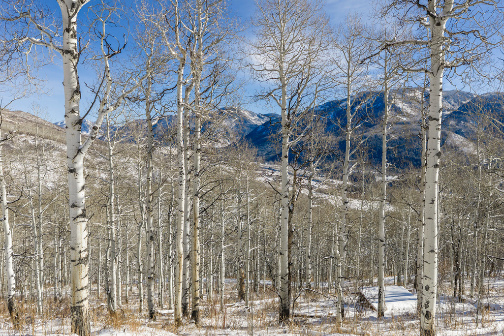 11708  CANYON RIM RD Oakley, UT 84055