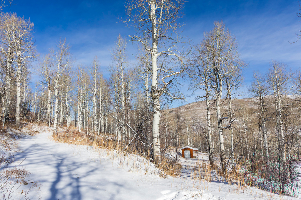 11708  CANYON RIM RD Oakley, UT 84055