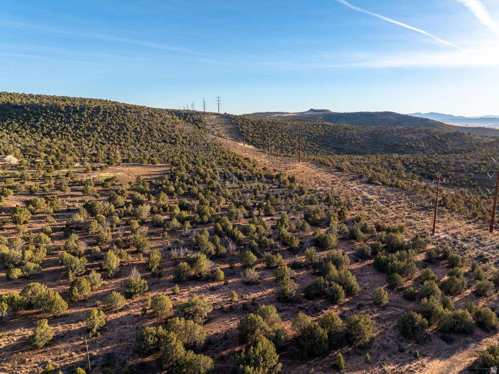  Diamond Valley, UT 84770