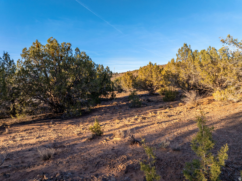  Diamond Valley, UT 84770