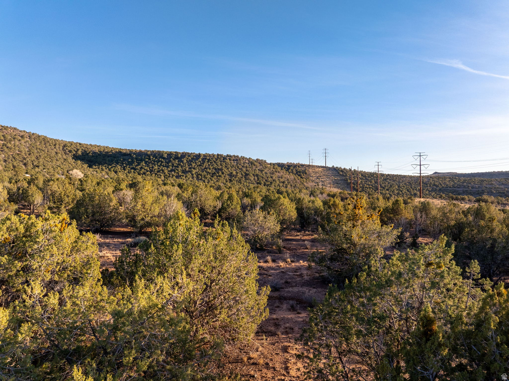  Diamond Valley, UT 84770