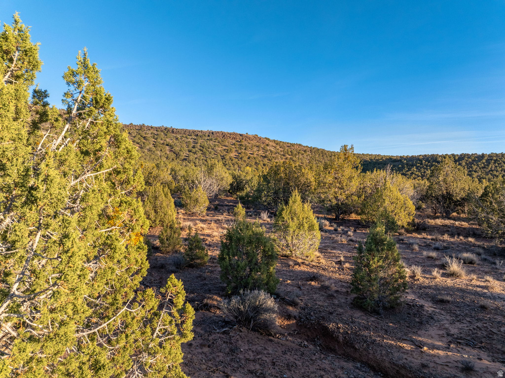  Diamond Valley, UT 84770