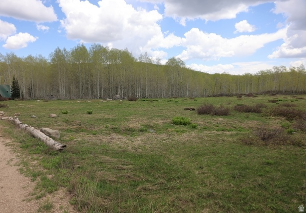 5292 N LARKSPUR RD Midway, UT 84049