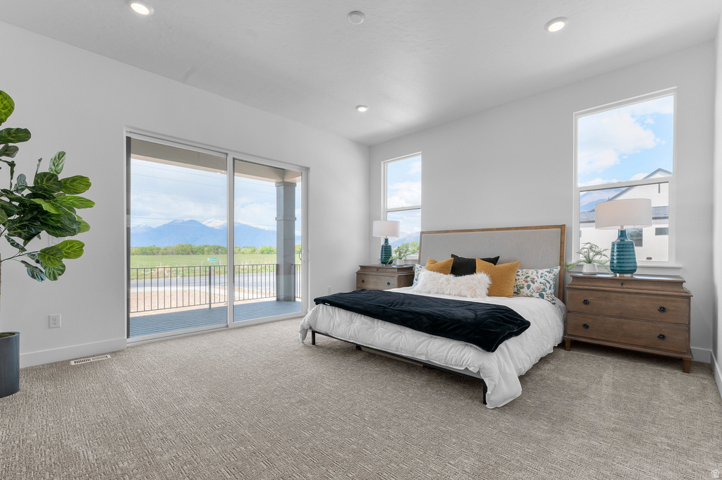 1735 E 1060 N #220 Salem, UT 84653