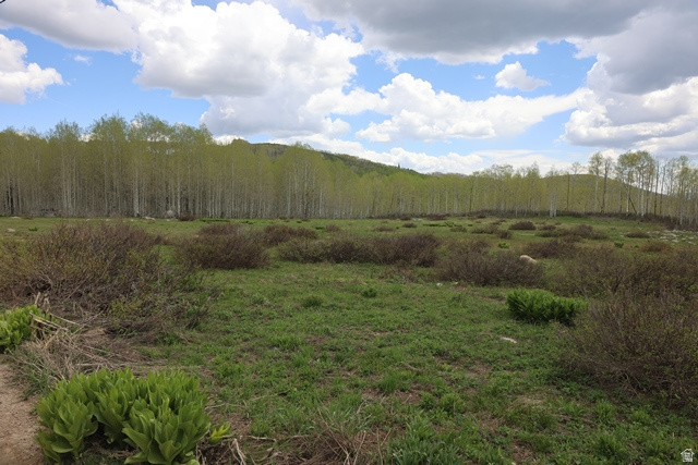 5274 N LARKSPUR RD Midway, UT 84049