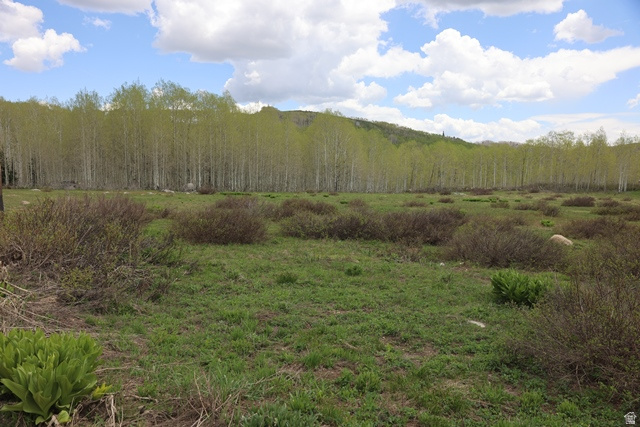 5274 N LARKSPUR RD Midway, UT 84049