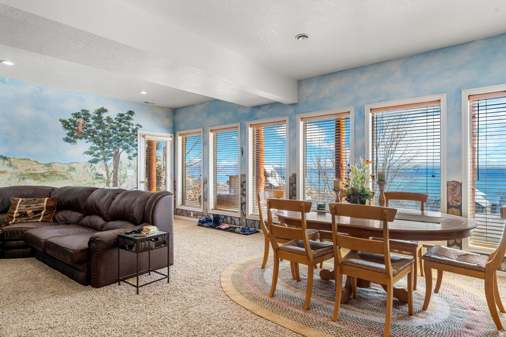 15 MULE DEER CIR #213 Fish Haven, ID 83287