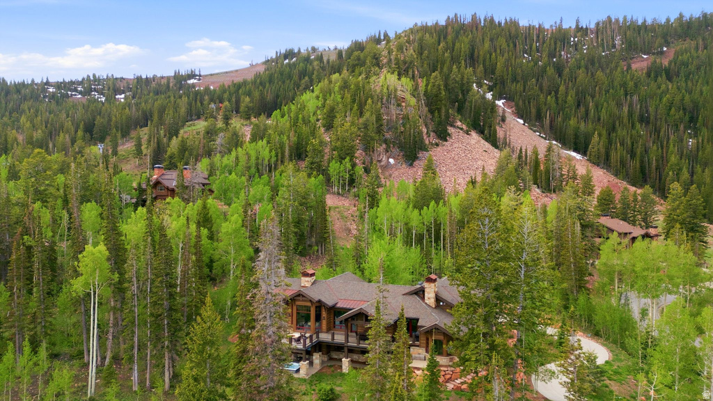 137 WHITE PINE CANYON RD photo 5