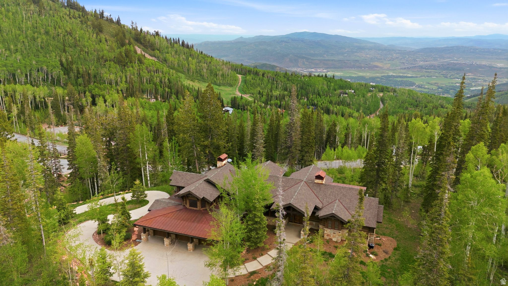 137 WHITE PINE CANYON RD photo 3
