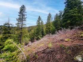 36  SKY HAVEN MOUNTAIN RETREAT Duck Creek Village, UT 84762