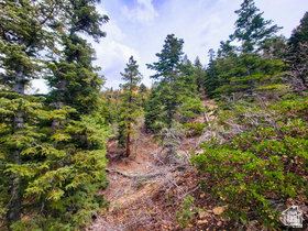 36  SKY HAVEN MOUNTAIN RETREAT Duck Creek Village, UT 84762