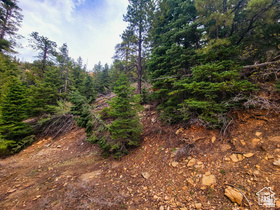 36  SKY HAVEN MOUNTAIN RETREAT Duck Creek Village, UT 84762