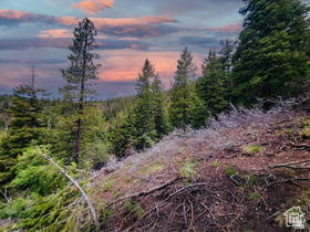 36  SKY HAVEN MOUNTAIN RETREAT Duck Creek Village, UT 84762